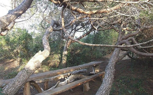 Marina Di Castagneto