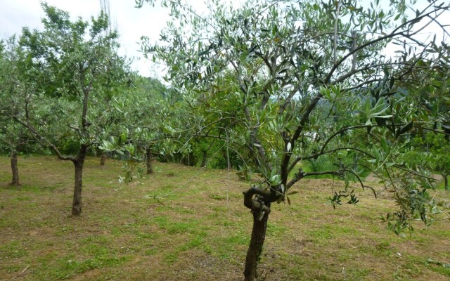 La Casetta di Bianca