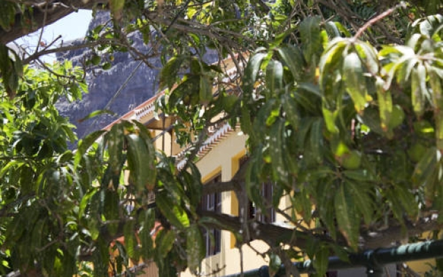 Apartamentos Concha