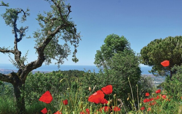 Villa Ortensia