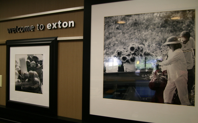 Hampton Inn Downingtown/Exton