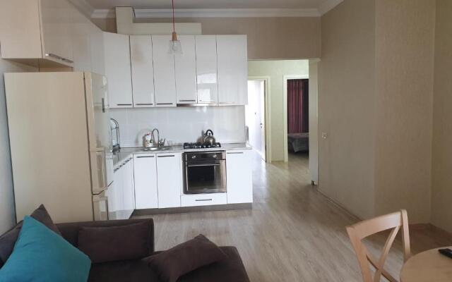 Apartment on the Rustaveli