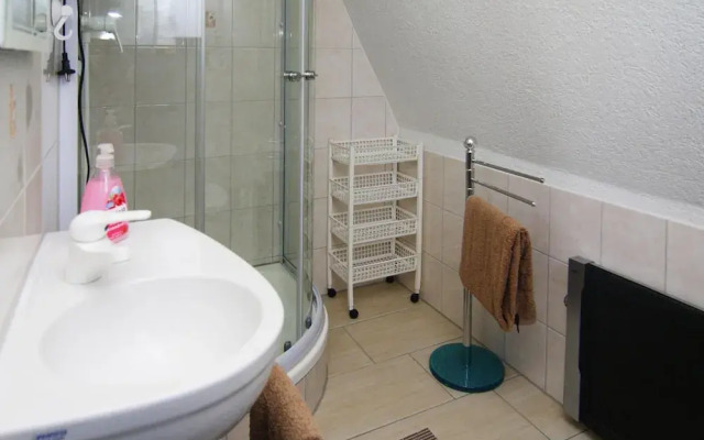 Roof House Near Dummer See With Rowing Boat