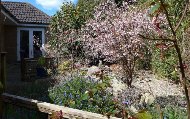 The Olive Tree B&B