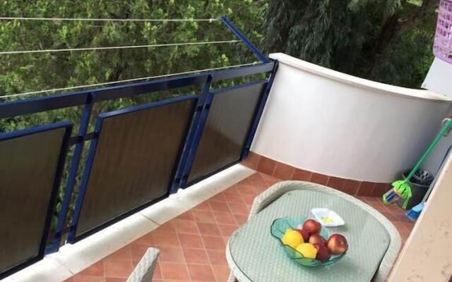 Central House Monica