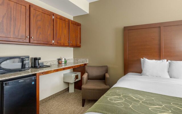 Comfort Suites Johnson City near University