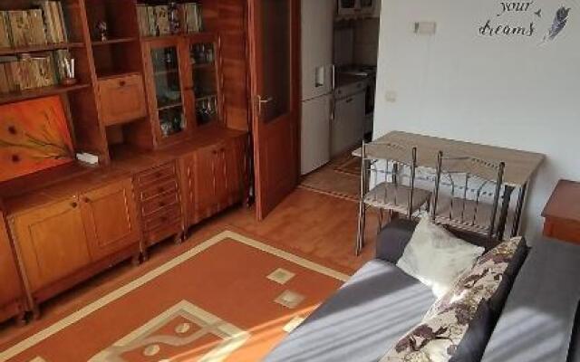 Apartament Nîsner-Bistritz