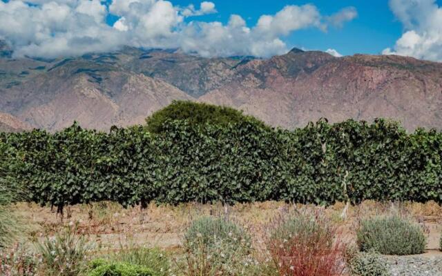 Serena Huasi L16 - Home in La Estancia de Cafayate