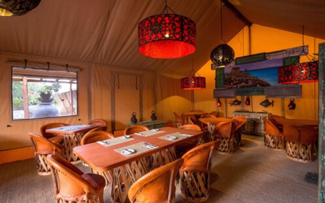 Serenity Authentic Glamping Tulum