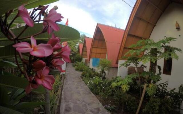 Aloe Vera Bungalows