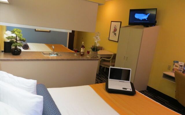 Microtel Inn & Suites By Wyndham Stockbridge/atlanta South