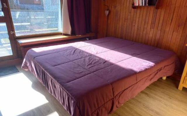 Apartment Appartement deux pieces sud , 500 metres des pistes.