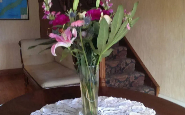 Ardree House Bed & Breakfast