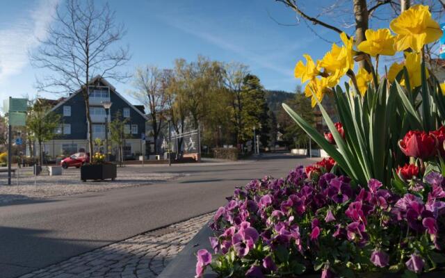 Tom's Ferienappartements Appartment 2