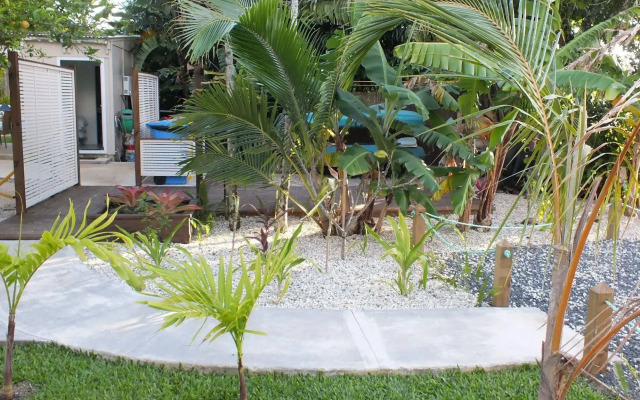 Rarotonga Daydreamer Escape