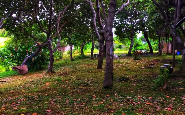 Vue grand hilltop