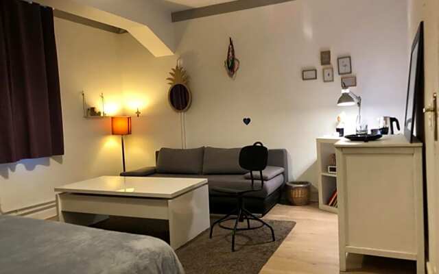 Chambre indépendante aux pied des Pyrénées