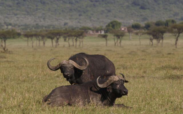 Fairmont Mara Safari Club