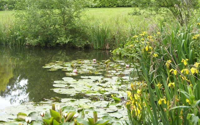 The Hall Farm B & B