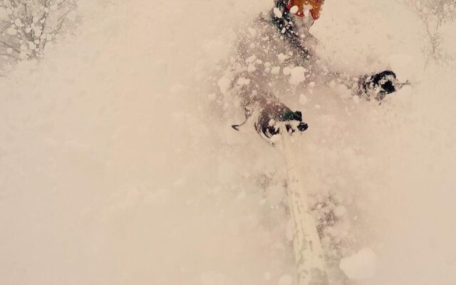 Hakuba Landmark Iwatake Lodge