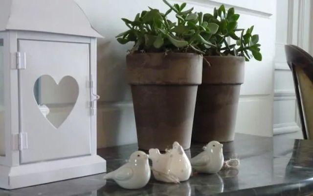 Domaine du Bas Caumont