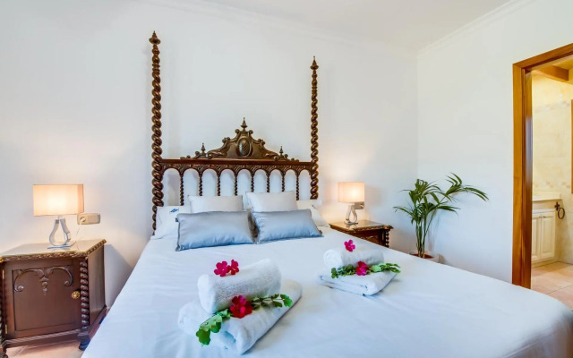 Puig d'en Guardiola ID:74768