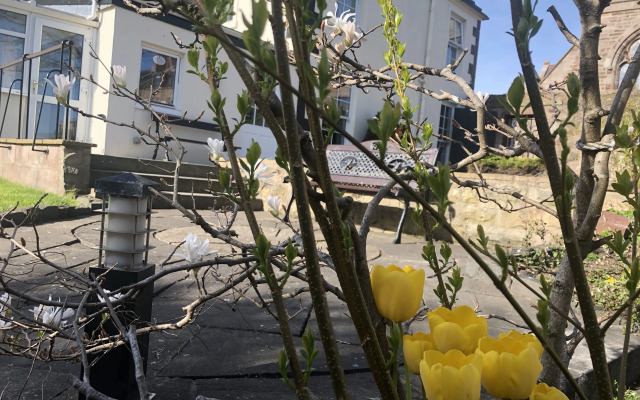 The Glenerne Guest House