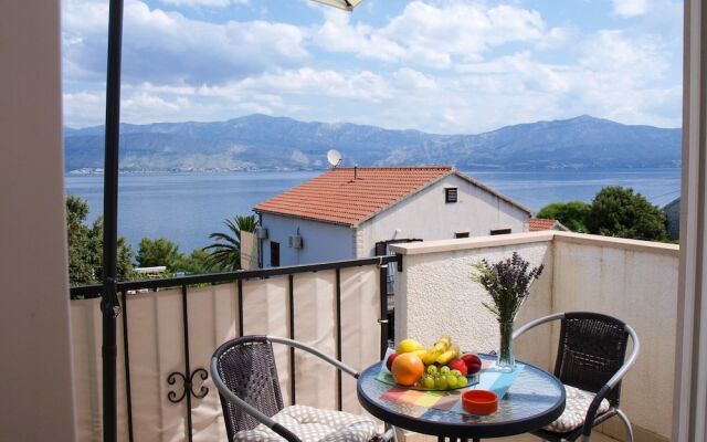 Jela - 50 m From Pebble Beach - A2-marija