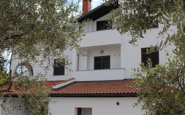 Homely Apartment in Poreč With Swimming Pool