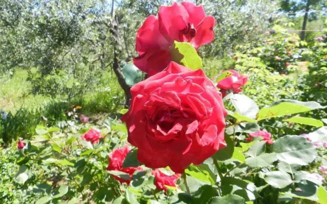 Casetta Del Fiano