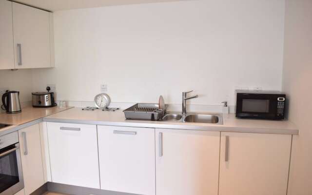 1 Bedroom Apartment in Battersea With Roof Terrace