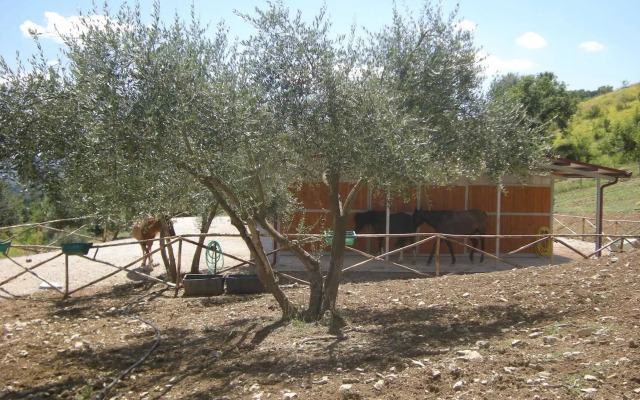 Agriturismo Goccia di Luna