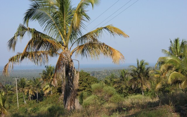 Pura Vida Lodge