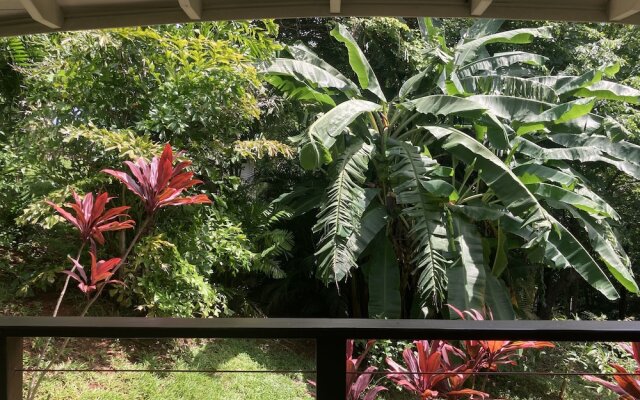 Mikado Natural Lodge