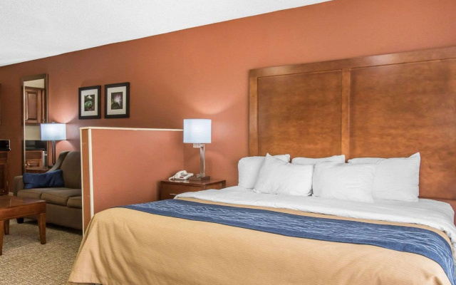 Comfort Inn Livingston