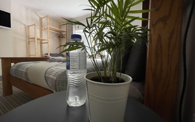 New Modern & Spacious Snowdonia Home - Sleeps 7