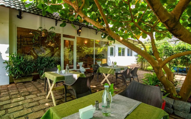 Tea Harvester Munnar