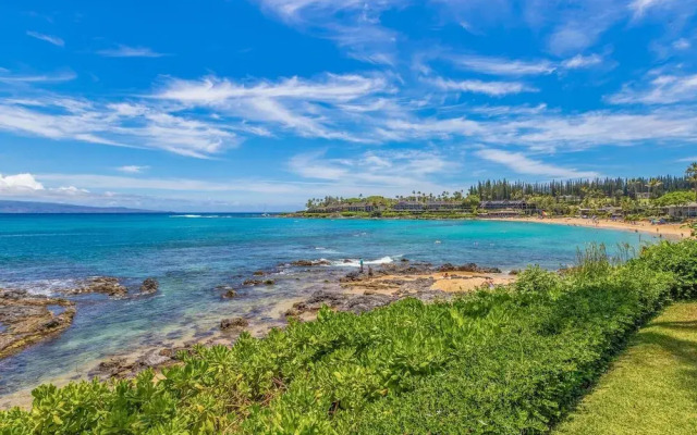 Napili Shores G258 Studio Condo Condo
