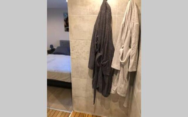 Nid d’amour- SPA- Superbe appartement avec jacuzzi