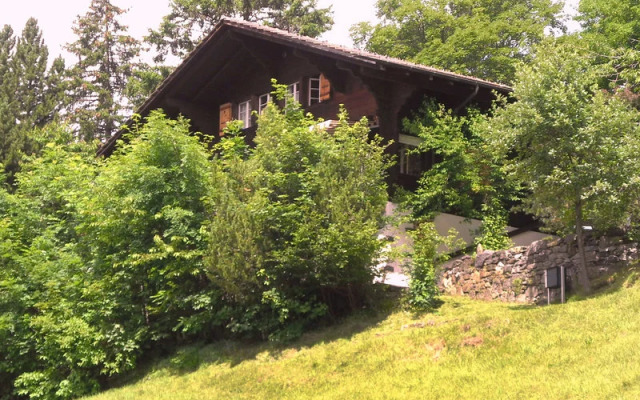 Jungfrau an der Ledi