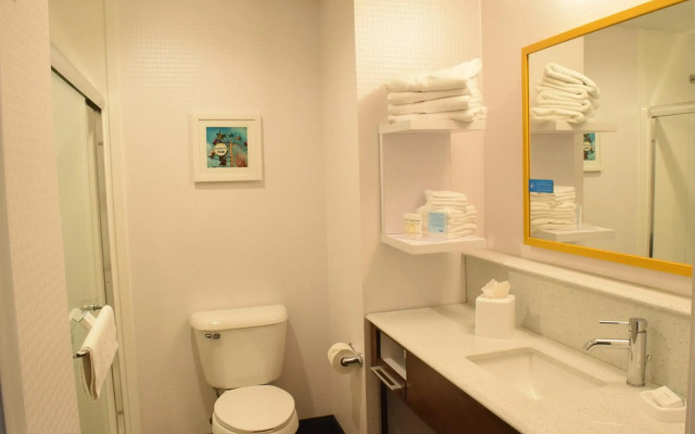 Hampton Inn Buffalo-Hamburg
