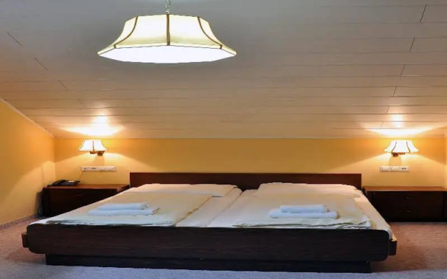 Boutique hotel Pohorje