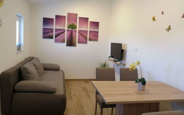 Apartment Branimir ll