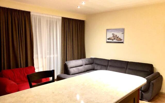 3 room Apartment NFT Gudauri Penta 101