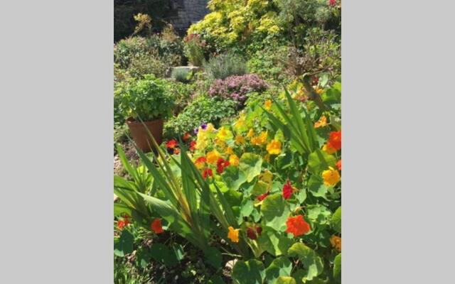 16 Century Farmhouse Cottage, foothills of iconic Glastonbury Tor.