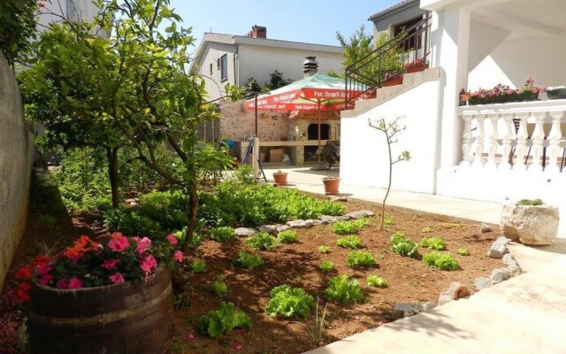 Apartment and Room Ivica