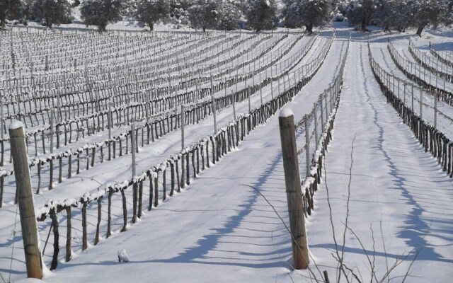 Tenuta La Parrina