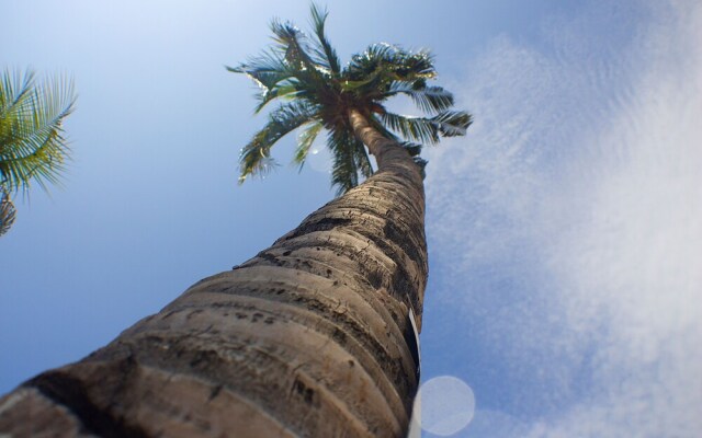 Apartamento Coral - Vista al Mar