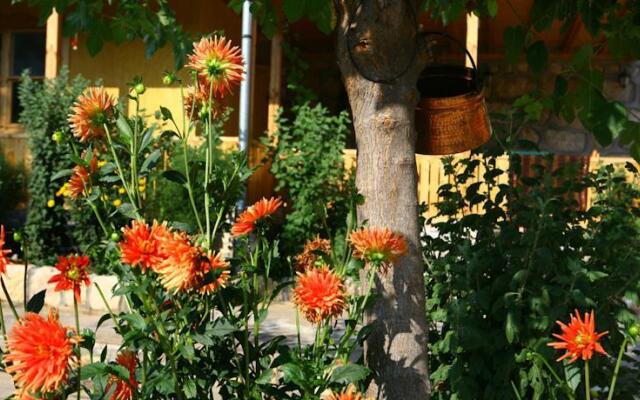 Pelican Birding Guest House