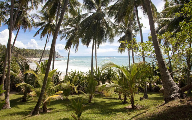 Palm Paradise Cabanas & Villas Beach Resort Tangalle
